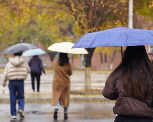 “冻”真格了？我们的温馨提示也必须“动”真格