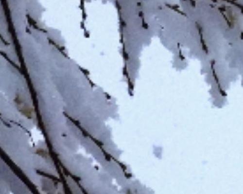 雪落轻工，素色如诗