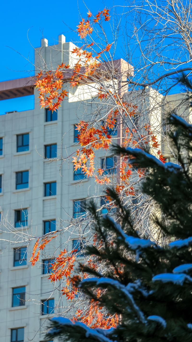 打卡新轻工地标，共赏校园好风光！（上）