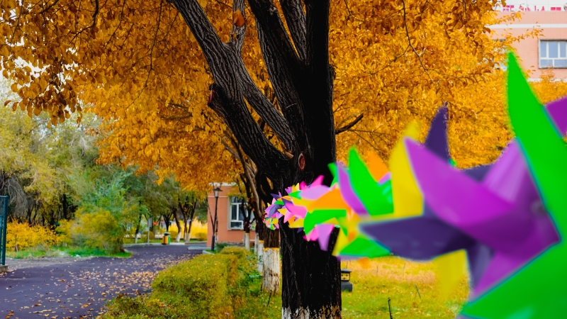 打卡新轻工地标，共赏校园好风光！（下）