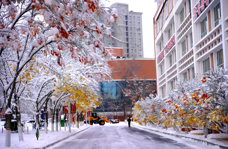 春雪满轻工，春捂正当时