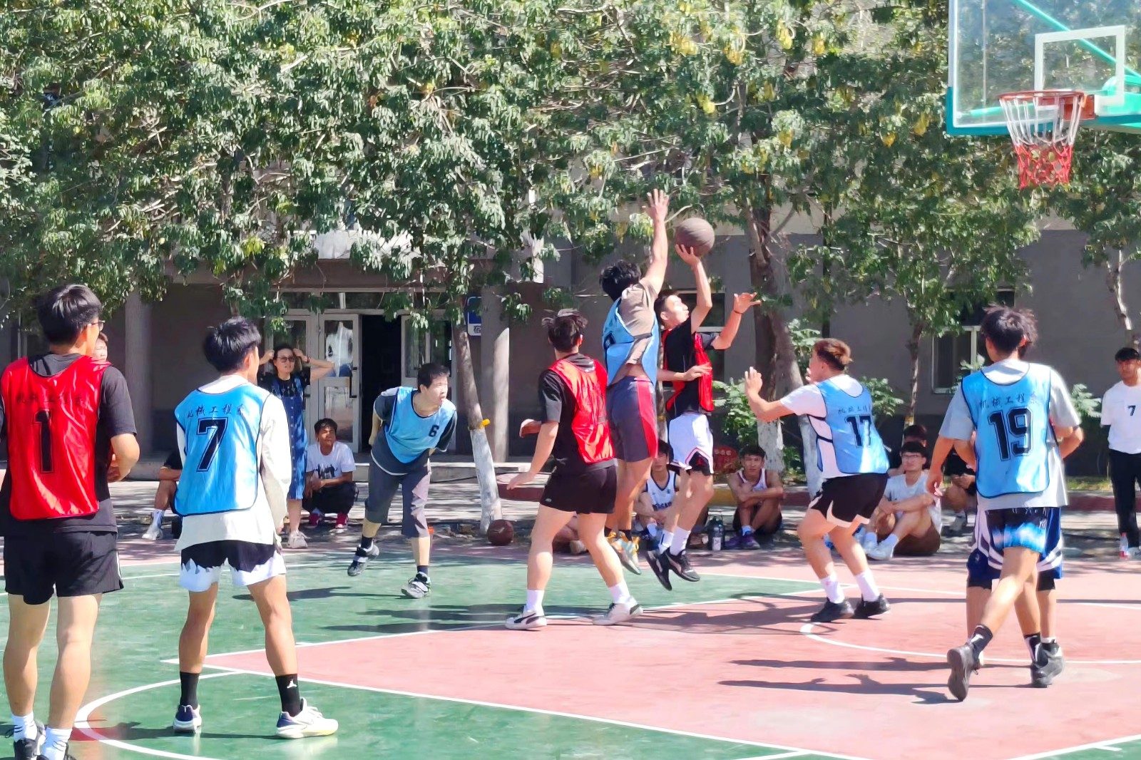 04811332730cabf3.jpg